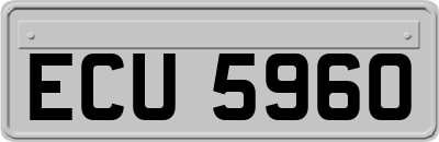 ECU5960
