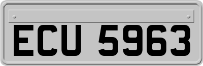 ECU5963