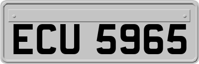 ECU5965