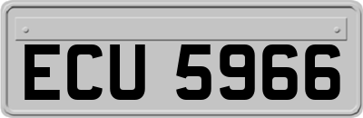 ECU5966