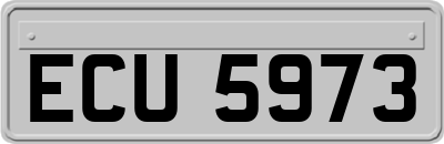 ECU5973