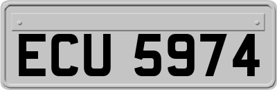 ECU5974