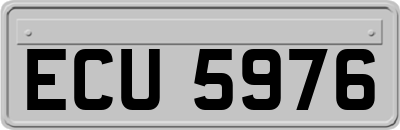 ECU5976