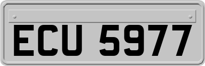 ECU5977