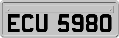 ECU5980