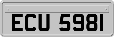 ECU5981