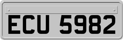 ECU5982