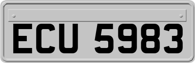 ECU5983
