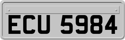 ECU5984