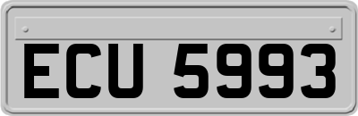 ECU5993