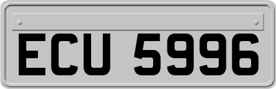 ECU5996