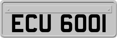 ECU6001