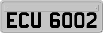 ECU6002