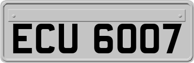 ECU6007