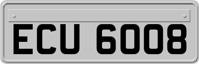 ECU6008