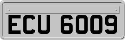 ECU6009