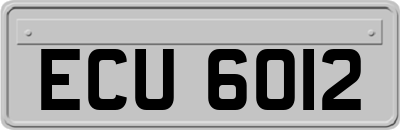 ECU6012