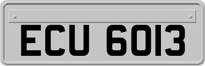 ECU6013