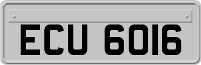 ECU6016