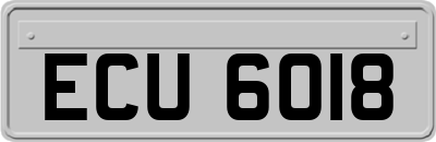 ECU6018