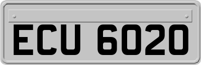 ECU6020