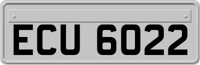 ECU6022