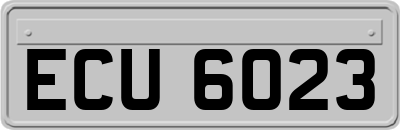 ECU6023