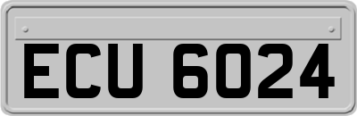 ECU6024
