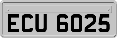 ECU6025
