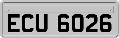 ECU6026