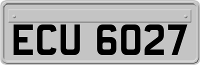 ECU6027