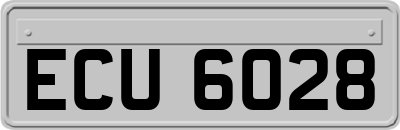 ECU6028