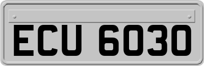 ECU6030