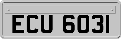 ECU6031