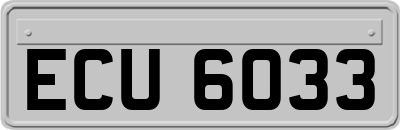 ECU6033