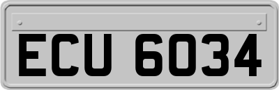 ECU6034