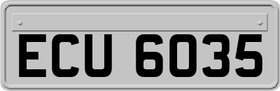 ECU6035