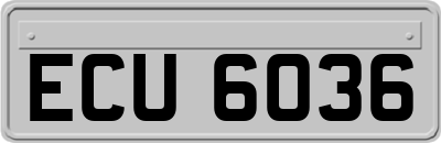 ECU6036