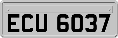 ECU6037
