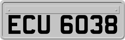 ECU6038