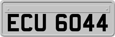 ECU6044