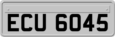 ECU6045