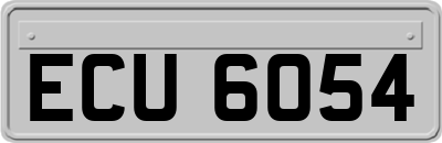 ECU6054