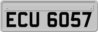 ECU6057