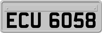 ECU6058