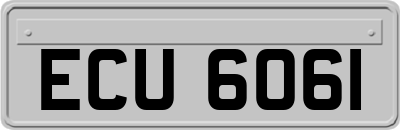 ECU6061