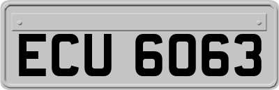 ECU6063