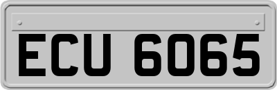 ECU6065