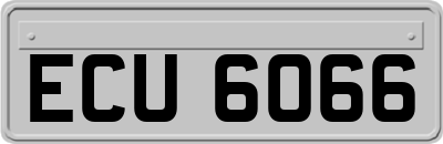 ECU6066