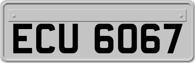 ECU6067